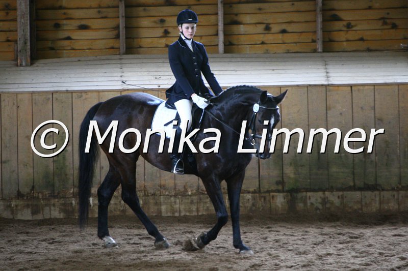 006M4252_Dressur E.JPG